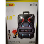 12'' Portable Box Speaker